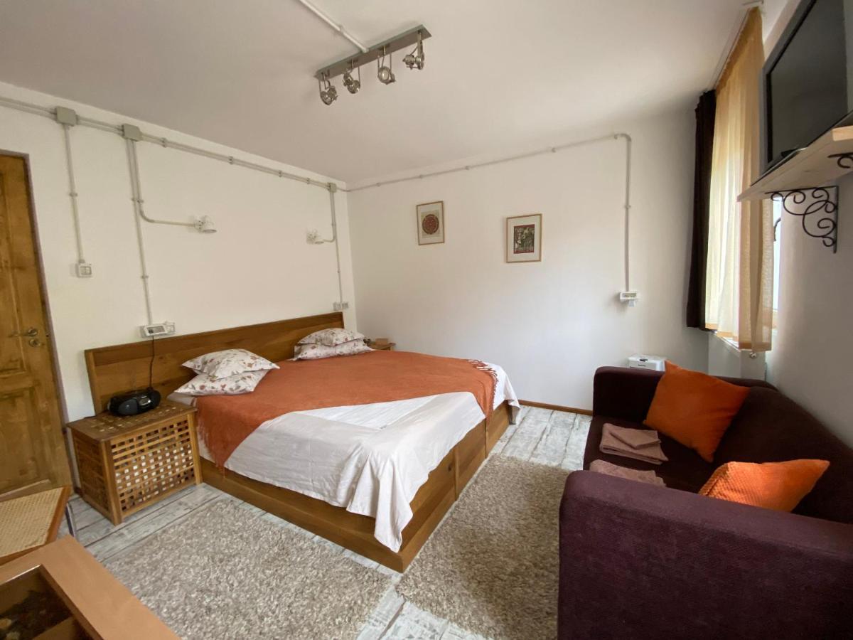 Bed and Breakfast Skay Loft à Braşov Extérieur photo