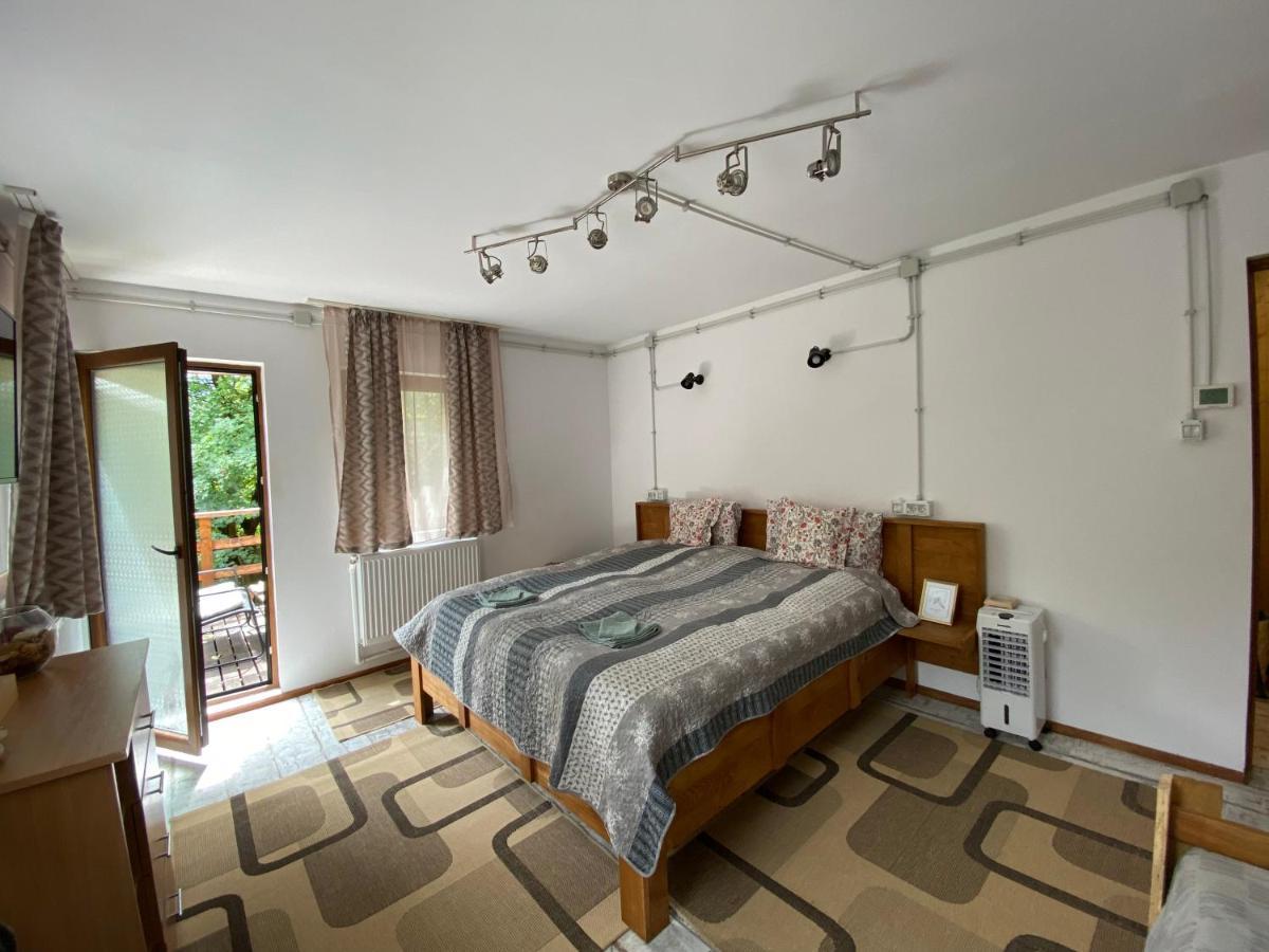 Bed and Breakfast Skay Loft à Braşov Extérieur photo