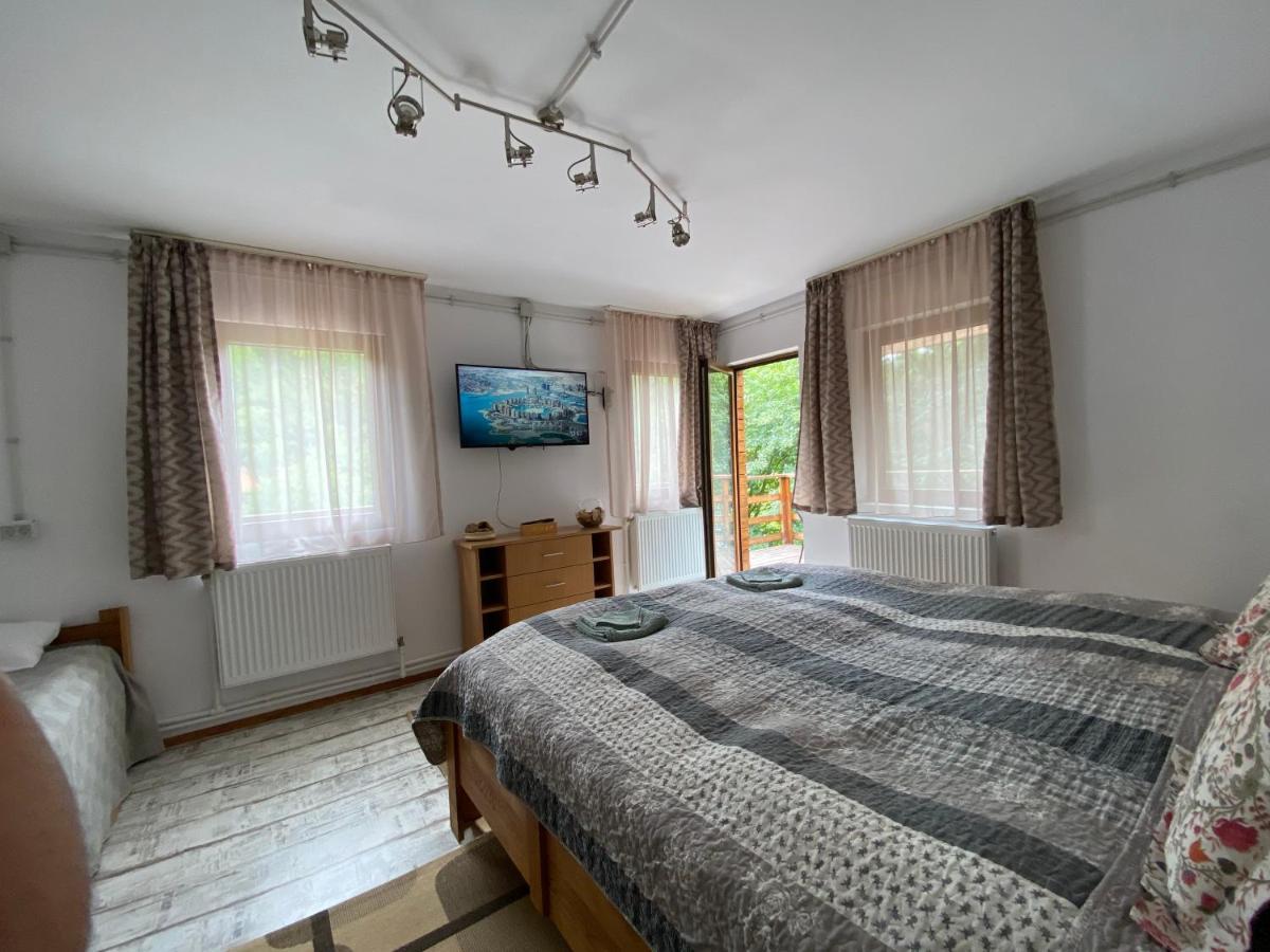 Bed and Breakfast Skay Loft à Braşov Extérieur photo