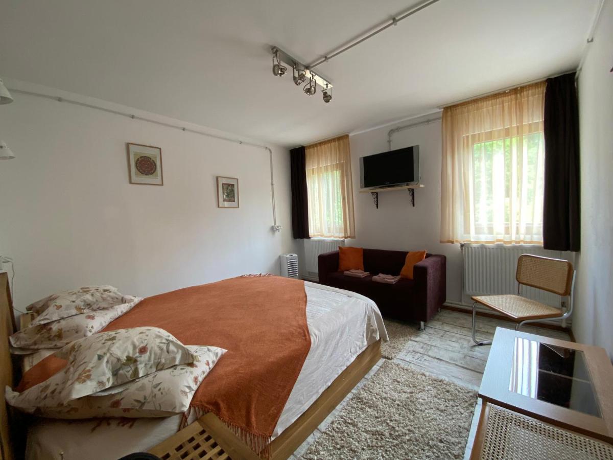 Bed and Breakfast Skay Loft à Braşov Extérieur photo